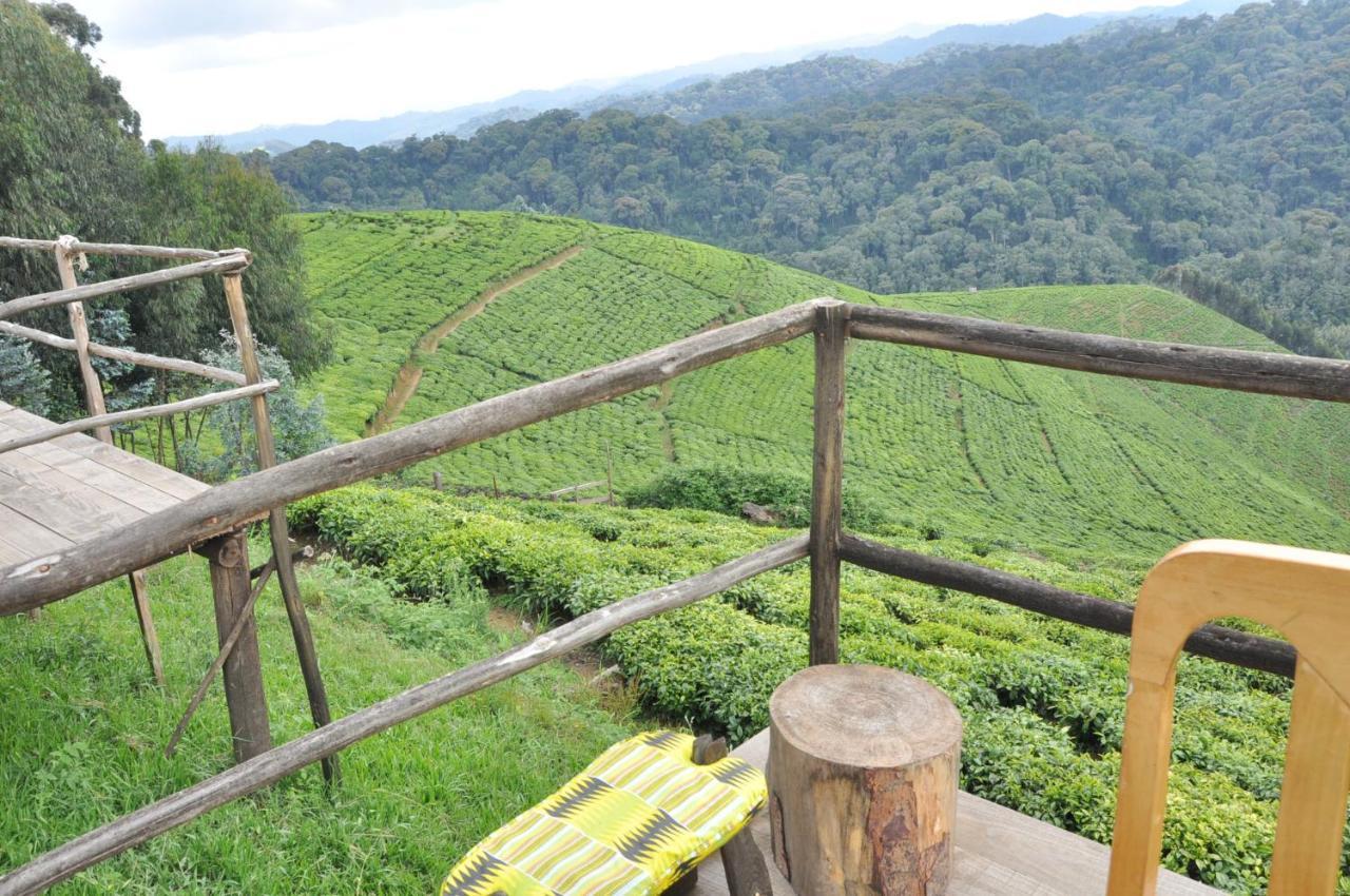 Nyungwe Nziza Ecolodge Kitabi Экстерьер фото