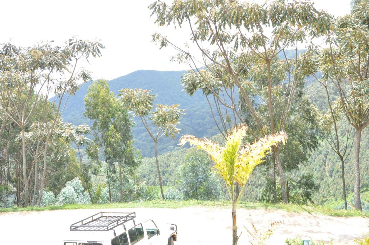 Nyungwe Nziza Ecolodge Kitabi Экстерьер фото