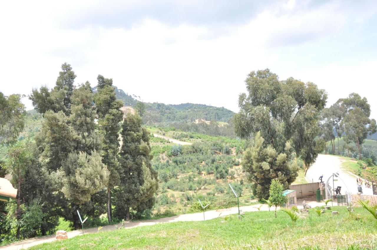 Nyungwe Nziza Ecolodge Kitabi Экстерьер фото