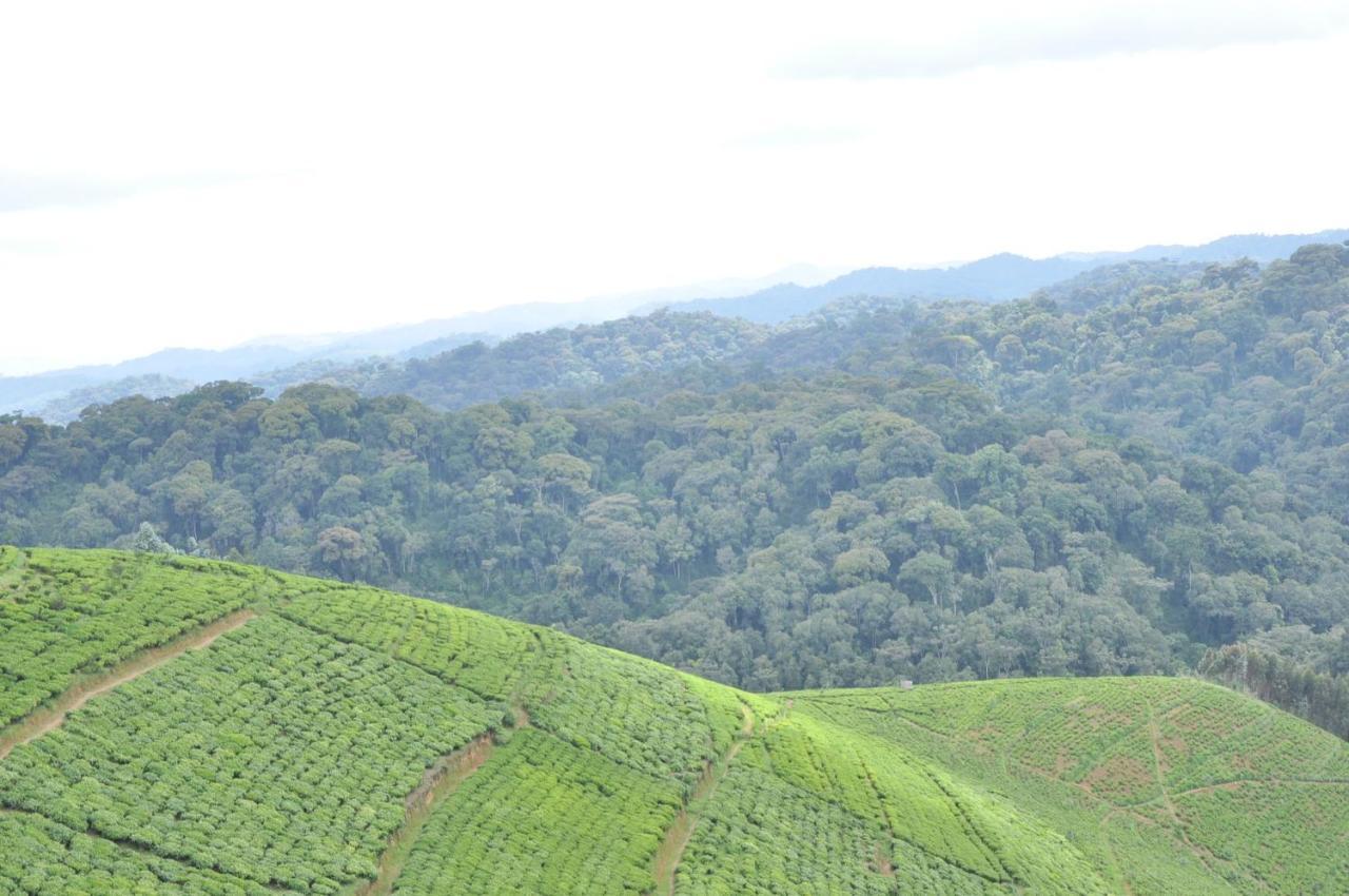 Nyungwe Nziza Ecolodge Kitabi Экстерьер фото